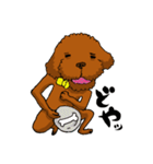 愛犬プードルの日常！（個別スタンプ：38）