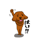 愛犬プードルの日常！（個別スタンプ：39）