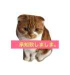 寅太郎と龍次郎（個別スタンプ：2）