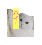 寅太郎と龍次郎（個別スタンプ：4）