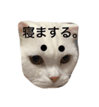 寅太郎と龍次郎（個別スタンプ：6）