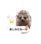 吹き出しハリネズミの日常会話（個別スタンプ：2）