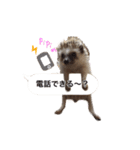 吹き出しハリネズミの日常会話（個別スタンプ：4）