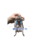 吹き出しハリネズミの日常会話（個別スタンプ：6）