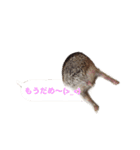 吹き出しハリネズミの日常会話（個別スタンプ：23）