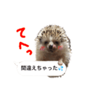 吹き出しハリネズミの日常会話（個別スタンプ：27）