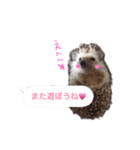 吹き出しハリネズミの日常会話（個別スタンプ：30）