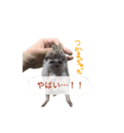 吹き出しハリネズミの日常会話（個別スタンプ：32）