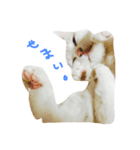 ーわさびー（個別スタンプ：2）