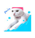 ーわさびー（個別スタンプ：5）