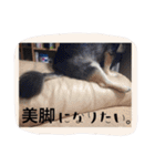 もりやこむぎ2（個別スタンプ：9）