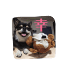 もりやこむぎ2（個別スタンプ：14）