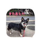 もりやこむぎ2（個別スタンプ：15）