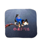 もりやこむぎ2（個別スタンプ：18）