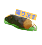 モル君の日常（個別スタンプ：14）