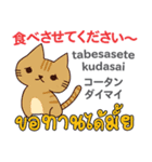 食いしん坊な猫日本語タイ語（個別スタンプ：2）