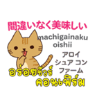 食いしん坊な猫日本語タイ語（個別スタンプ：6）