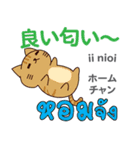 食いしん坊な猫日本語タイ語（個別スタンプ：10）