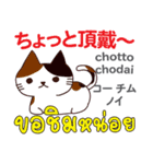 食いしん坊な猫日本語タイ語（個別スタンプ：11）