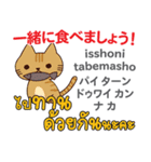 食いしん坊な猫日本語タイ語（個別スタンプ：25）