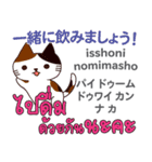 食いしん坊な猫日本語タイ語（個別スタンプ：26）