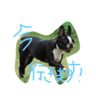 さかぐちぽんず（個別スタンプ：3）