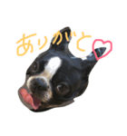 さかぐちぽんず（個別スタンプ：5）