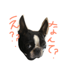 さかぐちぽんず（個別スタンプ：6）