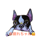ボストンテリア もずくん（個別スタンプ：10）