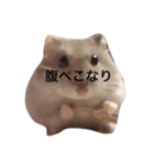 ぽんず 1（個別スタンプ：2）