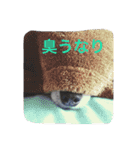 チロルの小さな部屋（個別スタンプ：15）