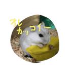ハムちゃんズ！（個別スタンプ：8）