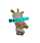 猫の小判スタンプ（個別スタンプ：32）