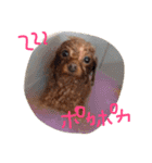 ぐりぐらぷーどる2（個別スタンプ：18）