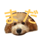 ぷりんむぎいもどん（個別スタンプ：3）