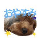 ぷりんむぎいもどん（個別スタンプ：4）