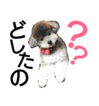 ぷりんむぎいもどん（個別スタンプ：8）