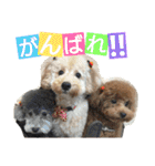 ぷりんむぎいもどん（個別スタンプ：12）