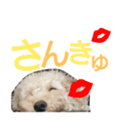 ぷりんむぎいもどん（個別スタンプ：17）