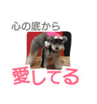 ぷりんむぎいもどん（個別スタンプ：18）