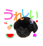 ぷりんむぎいもどん（個別スタンプ：20）