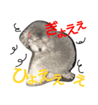 ぷりんむぎいもどん（個別スタンプ：22）