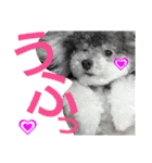 ぷりんむぎいもどん（個別スタンプ：23）