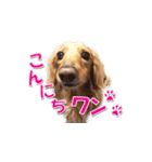 つばたんスタンプ（個別スタンプ：2）