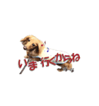 つばたんスタンプ（個別スタンプ：13）