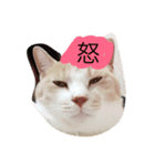 ちゃー（個別スタンプ：2）