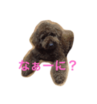 うちのはる（個別スタンプ：1）
