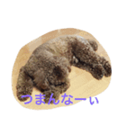 うちのはる（個別スタンプ：2）