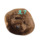 うちのはる（個別スタンプ：3）