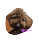 うちのはる（個別スタンプ：4）